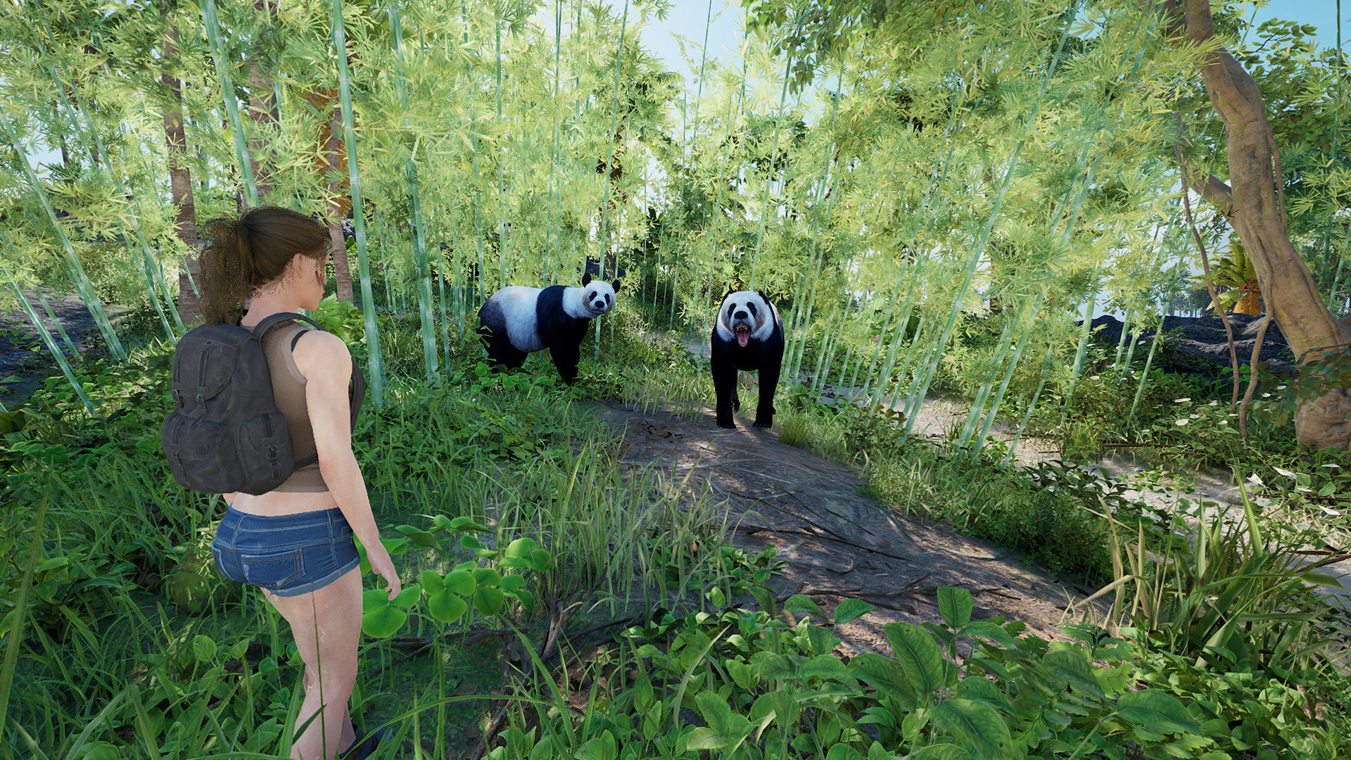 伊甸岛/Eden Island-小创项目网